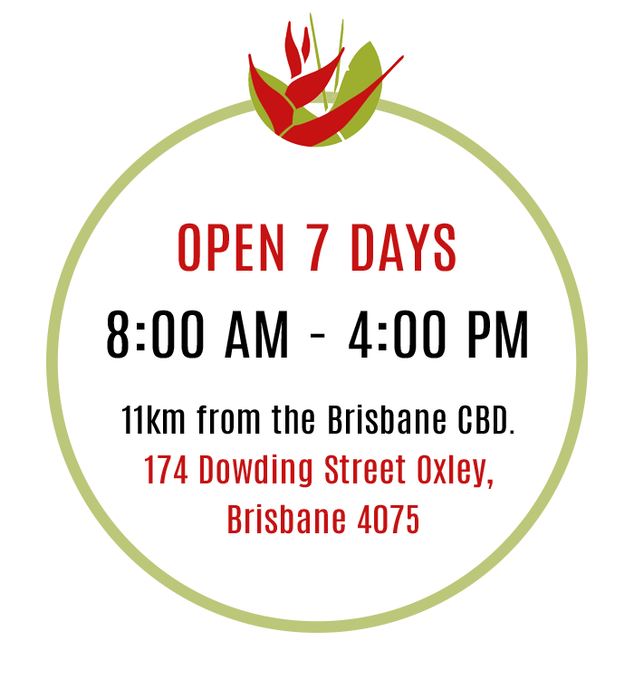 opening hours and address Open 7 Day, 8am-4pm, 174 Dowding St Oxley