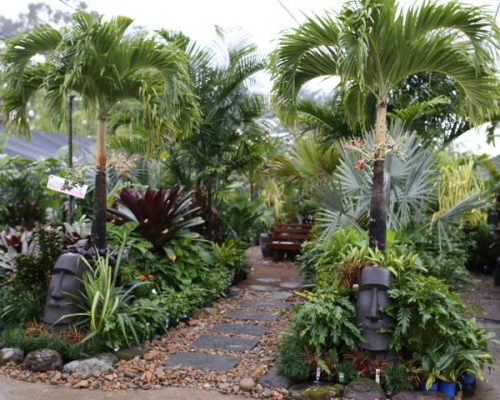 Oxley Nursery Subtropical Display feat. Christmas Palms, Bismark Palm and Blue Canes.