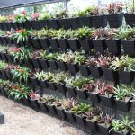 Wallgarden Green Wall Products